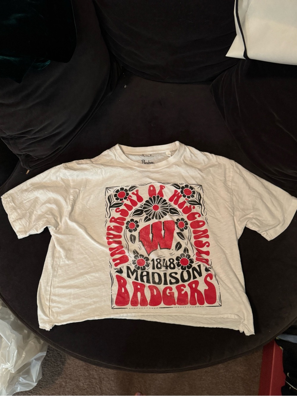 Groovy Wisconsin Badgers Cropped Tee